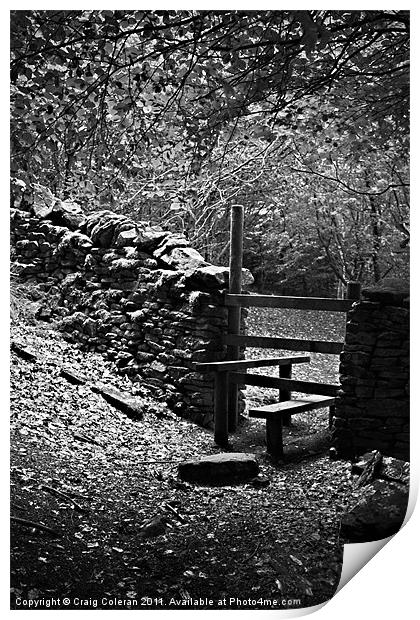 Stile in the woods Print by Craig Coleran