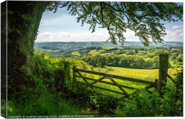Devon Countryside View Canvas Print by Andrew Denning