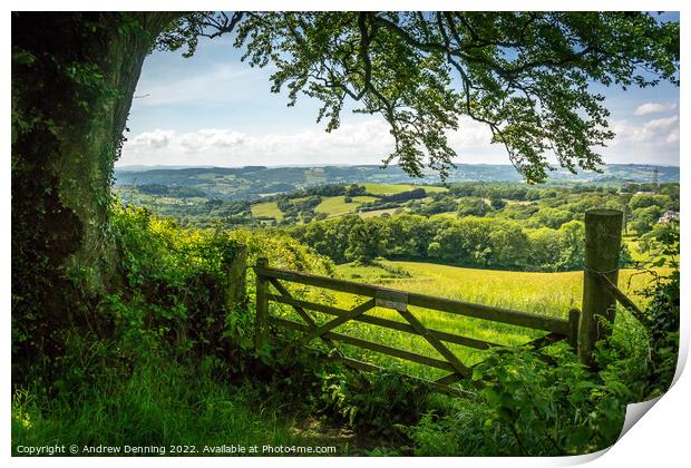 Devon Countryside View Print by Andrew Denning