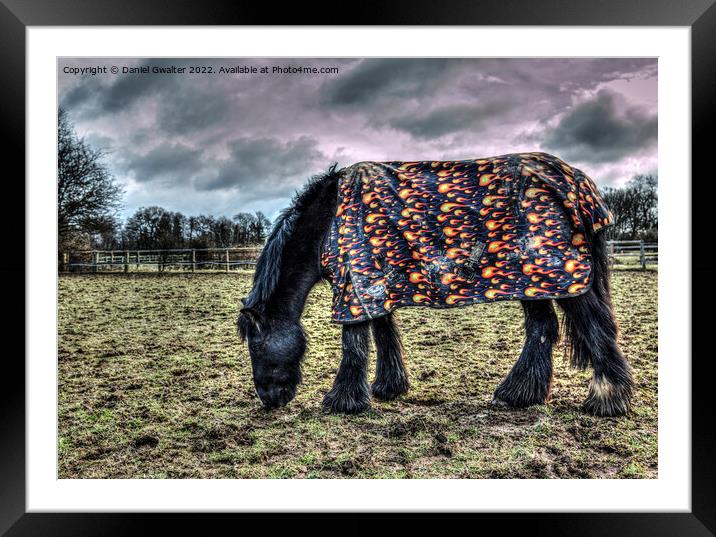 The truth regarding equestrian winters Framed Mounted Print by Daniel Gwalter