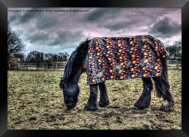 The truth regarding equestrian winters Framed Print by Daniel Gwalter