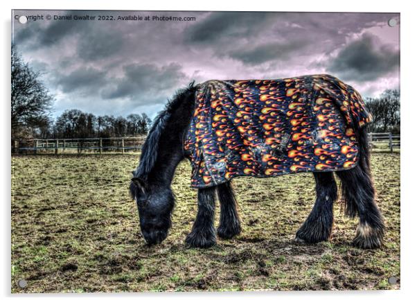 The truth regarding equestrian winters Acrylic by Daniel Gwalter