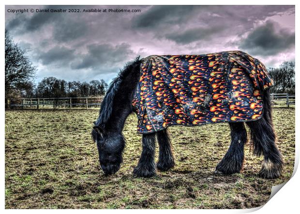 The truth regarding equestrian winters Print by Daniel Gwalter