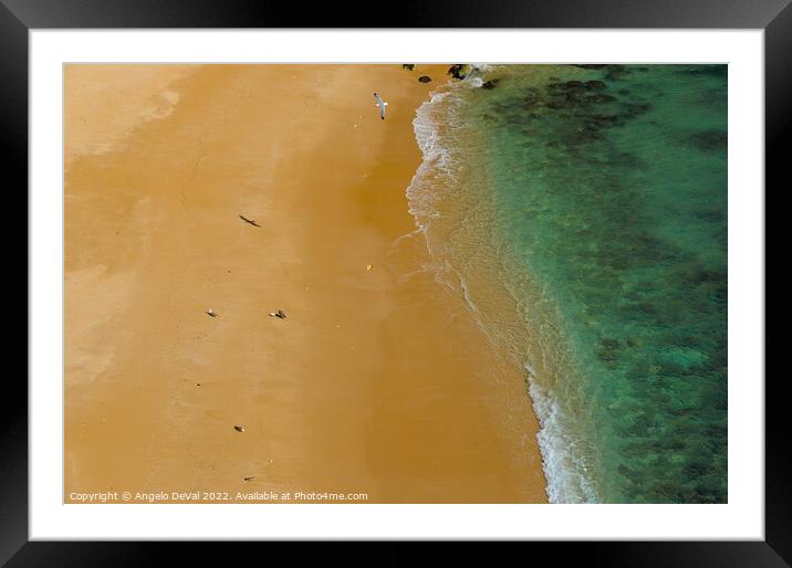 Seagulls in Praia Deserta Framed Mounted Print by Angelo DeVal