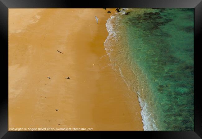 Seagulls in Praia Deserta Framed Print by Angelo DeVal