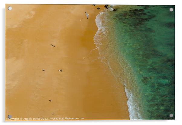 Seagulls in Praia Deserta Acrylic by Angelo DeVal
