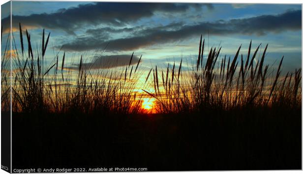 Sunset through the seagrass Canvas Print by Andy Rodger