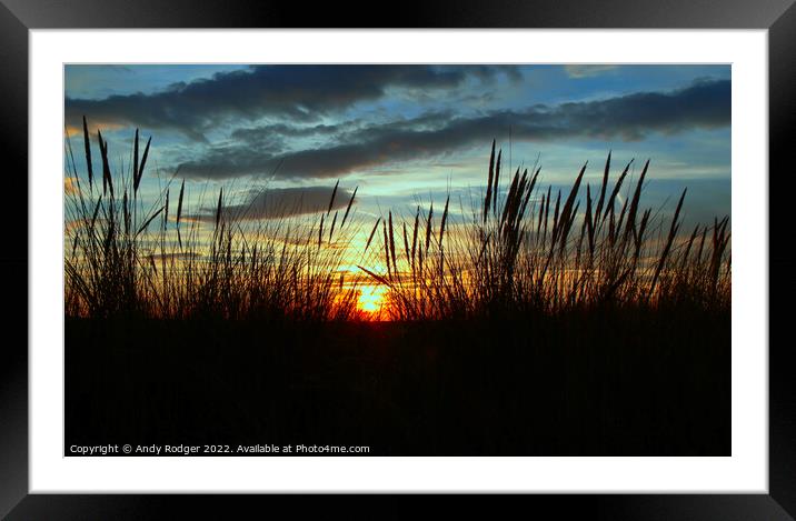 Sunset through the seagrass Framed Mounted Print by Andy Rodger
