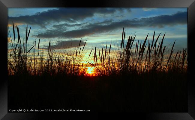 Sunset through the seagrass Framed Print by Andy Rodger