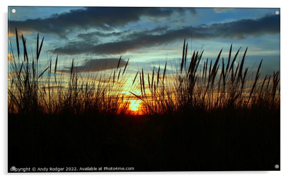 Sunset through the seagrass Acrylic by Andy Rodger