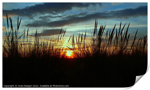 Sunset through the seagrass Print by Andy Rodger