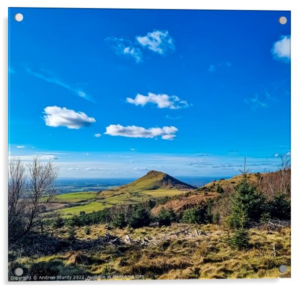 Roseberry Topping, Great Ayton Acrylic by Andrew  Sturdy