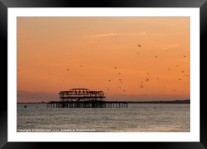 Brighton West Pier Sunset  Framed Mounted Print by Connor Cast