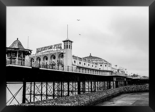 Brighton Pier Framed Print by Connor Cast
