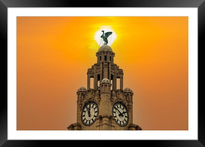 Liverbird Framed Mounted Print by Roger Green