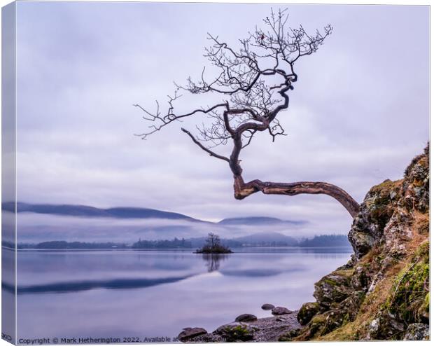 The Lone Tree at Otterbield Bay Derwentwater Canvas Print by Mark Hetherington