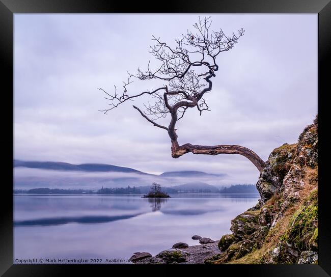 The Lone Tree at Otterbield Bay Derwentwater Framed Print by Mark Hetherington