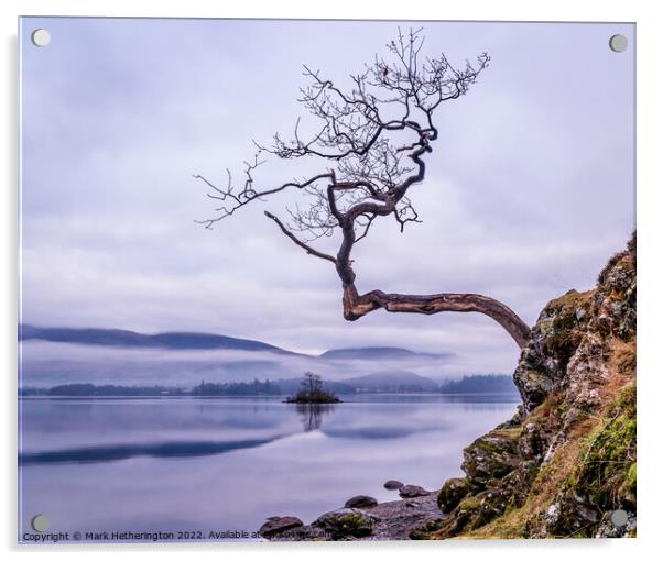 The Lone Tree at Otterbield Bay Derwentwater Acrylic by Mark Hetherington