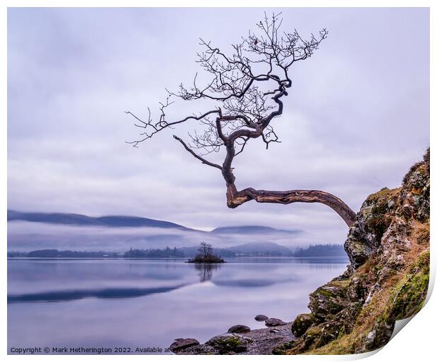 The Lone Tree at Otterbield Bay Derwentwater Print by Mark Hetherington