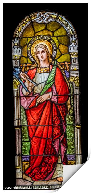 Saint Agatha Stained Glass Saint Mary Basilica Phoenix Arizona Print by William Perry
