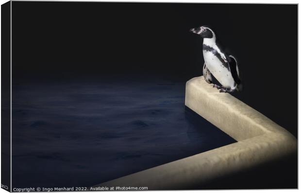 Penguin's delight Canvas Print by Ingo Menhard