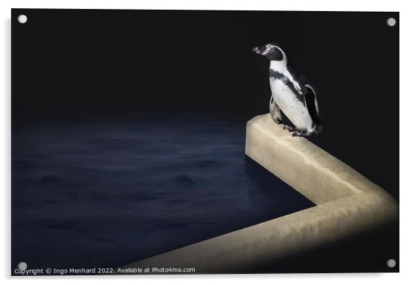 Penguin's delight Acrylic by Ingo Menhard