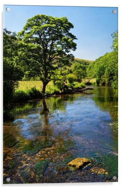 River Wye near Monsal Dale  Acrylic by Darren Galpin
