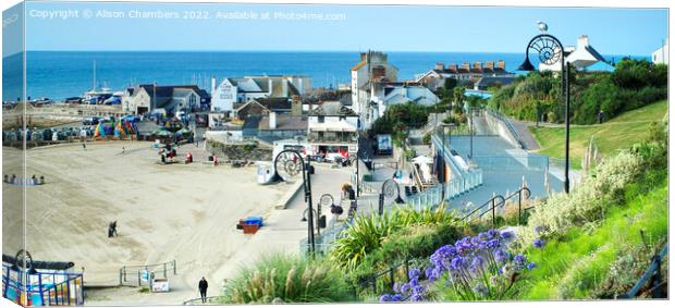View Of Lyme Regis Panorama, Dorset   Canvas Print by Alison Chambers