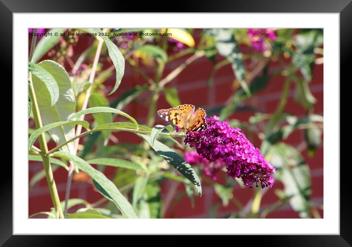Lady butterfly on butterfly bush Framed Mounted Print by aurélie le moigne