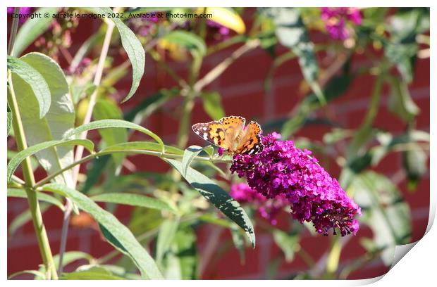 Lady butterfly on butterfly bush Print by aurélie le moigne