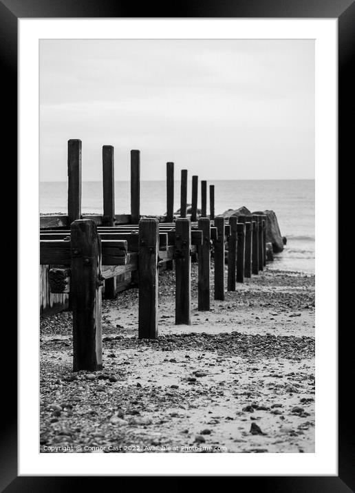 North Norfolk Sea Groynes  Framed Mounted Print by Connor Cast