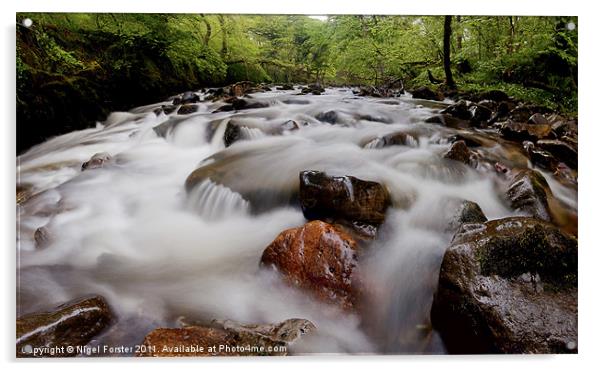 The Rapids, Pontneddfechan Acrylic by Creative Photography Wales