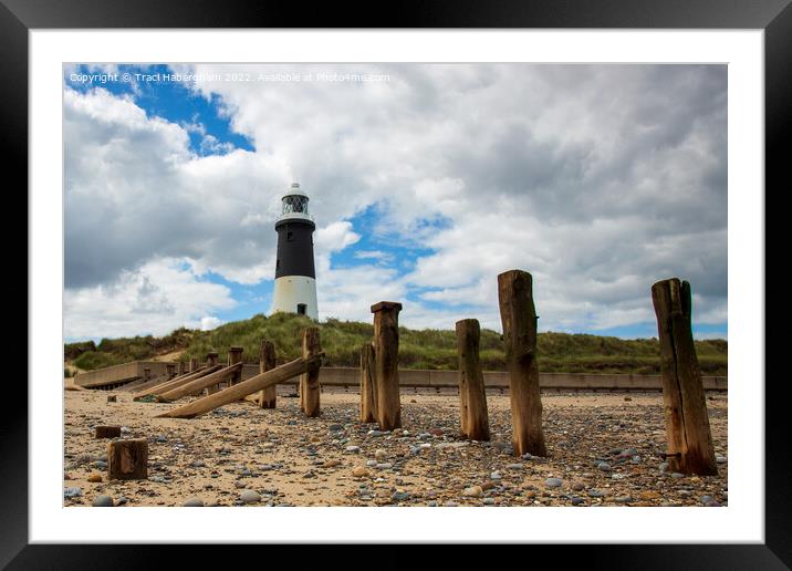 Spurn Point Lighthouse Framed Mounted Print by Traci Habergham