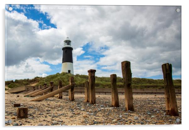 Spurn Point Lighthouse Acrylic by Traci Habergham