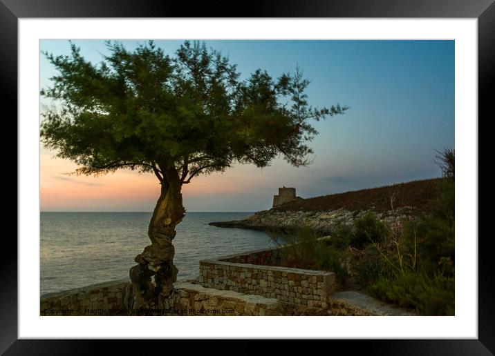 Blue hour at Coastline of Xlendi Bay, Gozo Malta. Framed Mounted Print by Maggie Bajada