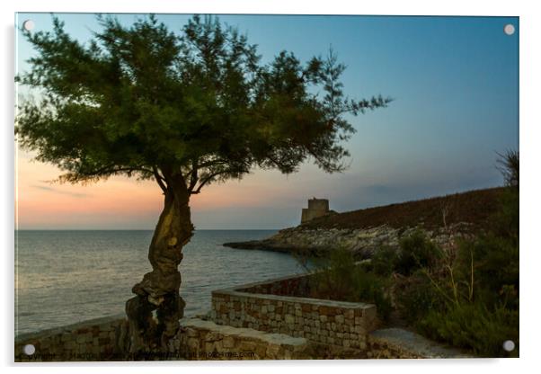 Blue hour at Coastline of Xlendi Bay, Gozo Malta. Acrylic by Maggie Bajada