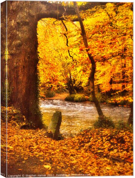 River of Gold Canvas Print by Stephen Hamer