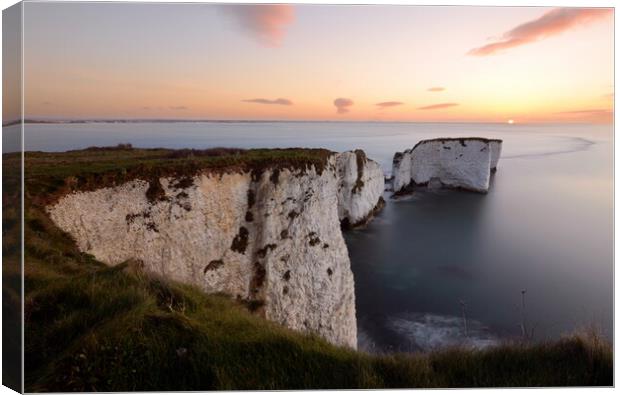Old Harry Sunrise Canvas Print by David Neighbour
