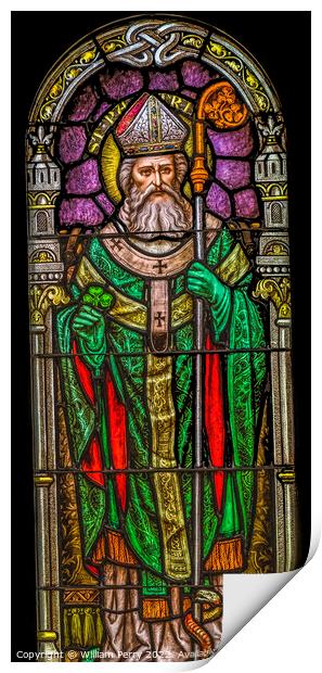 Saint Patrick Stained Glass Saint Mary Basilica Phoenix Arizona Print by William Perry