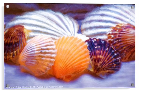 Shells Acrylic by Ian Merton