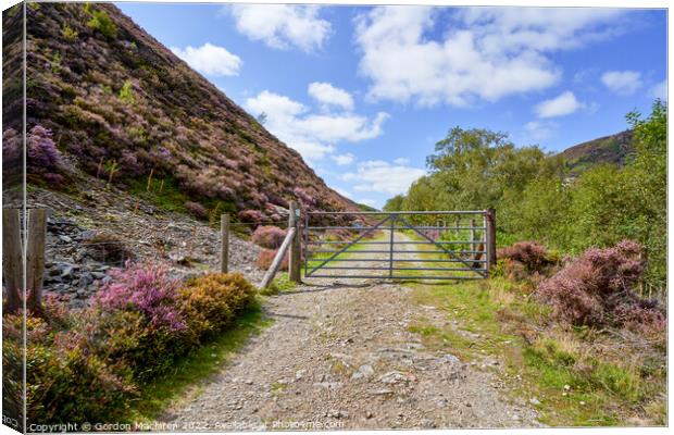 Old road in the Elan Valley, Powys, Wales Canvas Print by Gordon Maclaren
