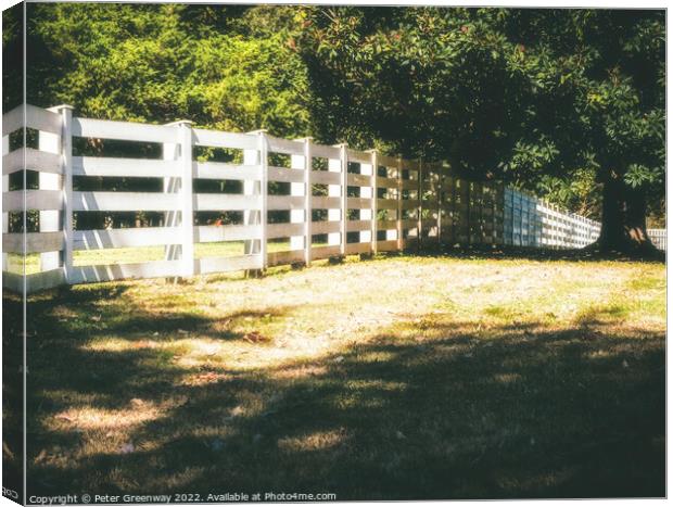 19th Century Plantation Fencing In Tennessee Canvas Print by Peter Greenway