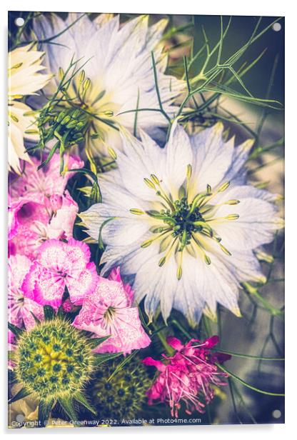 Floral Arrangement Featuring Love-In-A-Mist Flower Acrylic by Peter Greenway