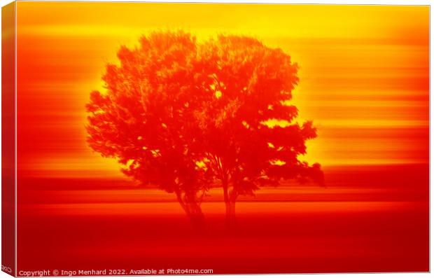 Serengeti tree in sunset  Canvas Print by Ingo Menhard