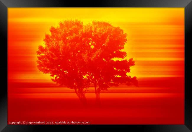 Serengeti tree in sunset  Framed Print by Ingo Menhard