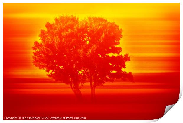 Serengeti tree in sunset  Print by Ingo Menhard