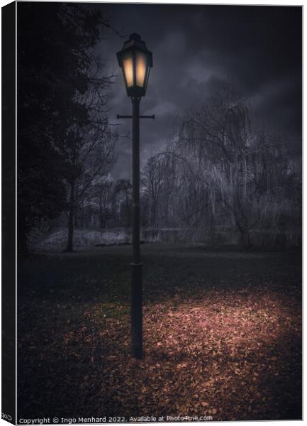 A night in the park Canvas Print by Ingo Menhard