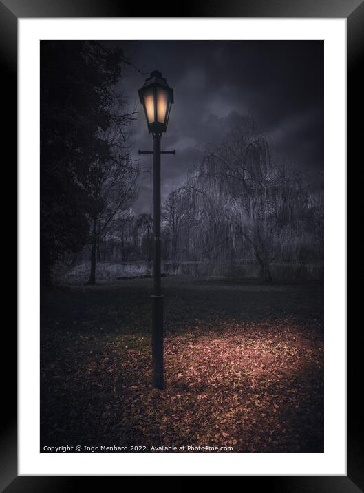 A night in the park Framed Mounted Print by Ingo Menhard