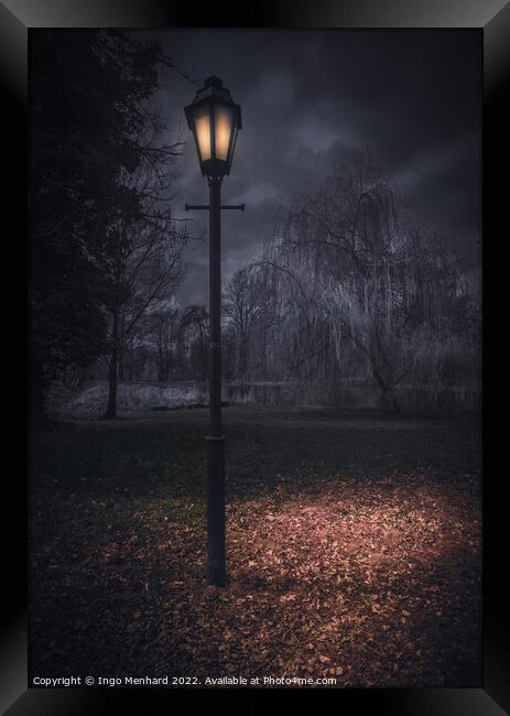 A night in the park Framed Print by Ingo Menhard