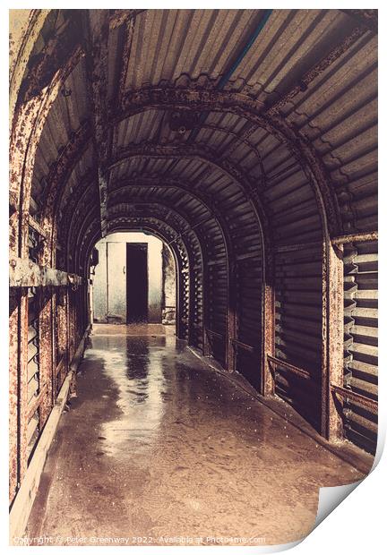 Abandonned World War 2 Portsdown Tunnels In Portsmouth    Print by Peter Greenway